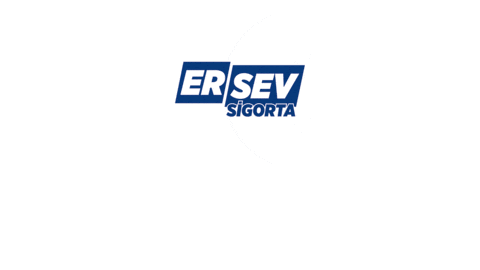 ersevtr giphyupload Sticker