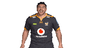 Rugby Sticker by Wasps