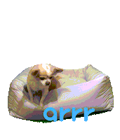 아르르 Sticker by arrr_official