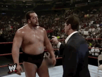 big show wrestling GIF by WWE