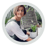 coach plant Sticker by Plants in a Box