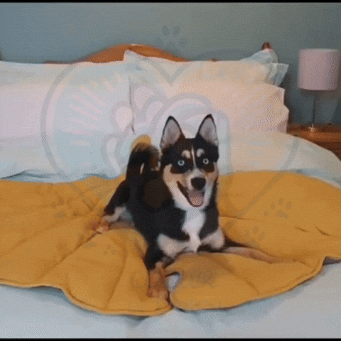 GIF Nature's Embrace tapis chien