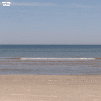 peter ingemann selvsving GIF by TV 2