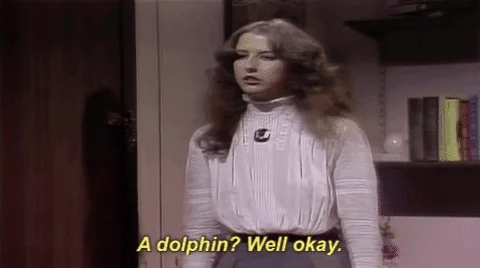 giphy.webp