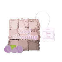 Cheek Blusher Sticker by BY ECOM