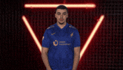 Tsg Hoffenheim Vbl GIF by Bundesliga