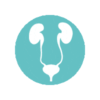 Urology Sticker by IRCAD France