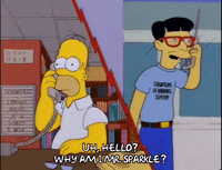 homer simpson japan GIF