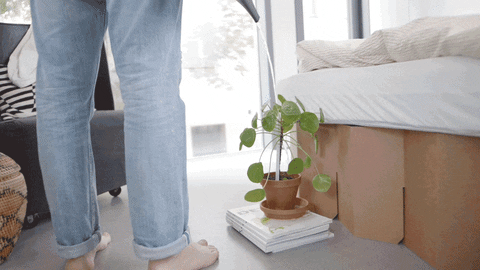 ROOMINABOX giphyupload berlin sustainable furniture GIF