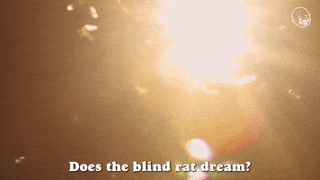 Does The Blind Rat Dream?