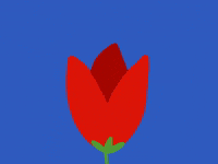 Honey Bee Flower GIF by Barbara Pozzi