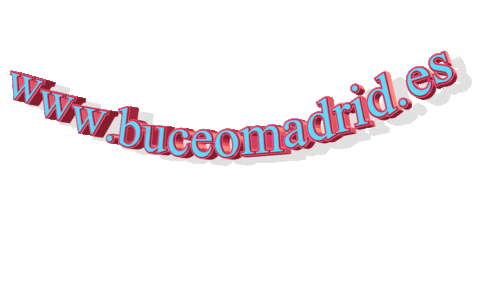 BuceoMadrid giphyupload web buceo padi Sticker