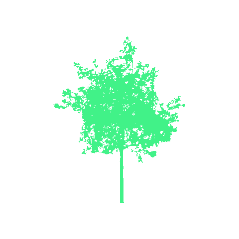 Tree Sticker by CLOU architects