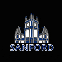 ssppduke class of 2020 duke university public policy duke graduation GIF