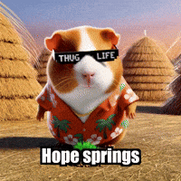 Hope Springs GIF by Guinea Gambino