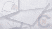 Carson Newman Football GIF by Carson-Newman Athletics