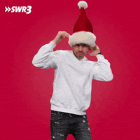 Merry Christmas Dance GIF by SWR3