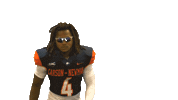 Cnfb Sticker by Carson-Newman Athletics