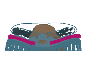 Cookie Disappear Sticker
