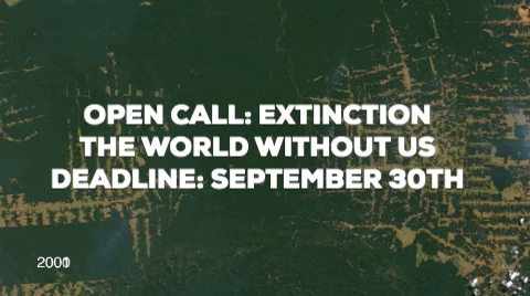 stevebisson giphygifmaker GIF