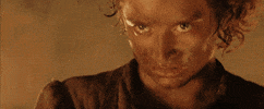 frodo GIF