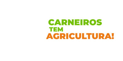 prefeituradecarneiros alagoas brt geraldo carneiros Sticker