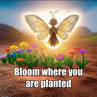 Transformation Growth GIF by BuddhaFlyJourney