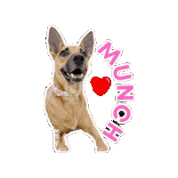 Munch Dog Sticker