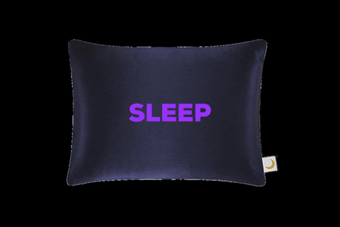 MoonchildSleeps giphygifmaker sleepwithmoonchild moonchild moonchildsleep silkpillow beautysleep GIF