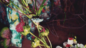 GIF by NOWNESS