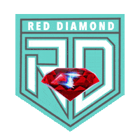 F45 Red Diamond Sticker by F45boltonsouth