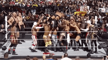 wrestlemania 31 wrestling GIF by WWE