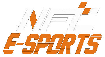 nftesport nft esports btr skena Sticker