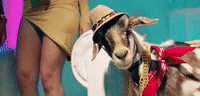 lil wayne promo GIF