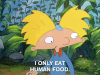 hey arnold nick splat GIF