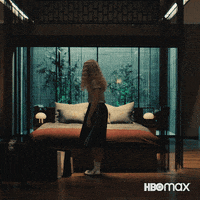 Kamikaze Omg GIF by HBO Max