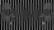 sci fi GIF by Sub Pop Records