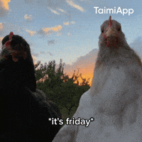 Vibing Its Friday GIF by Taimi