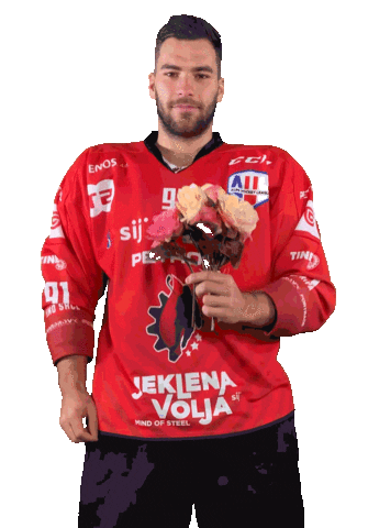 Hockey Hokej Sticker by HDD SIJ Acroni Jesenice
