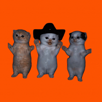 Pumpkin Spice Lol GIF by LA CALABAZA DAILY