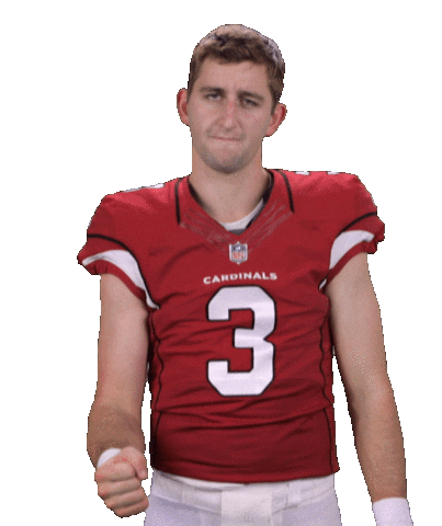 Arizona Cardinals Sticker Sticker by NFL