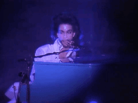 prince the question of u GIF