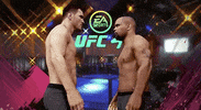Video Game Sport GIF by UFC