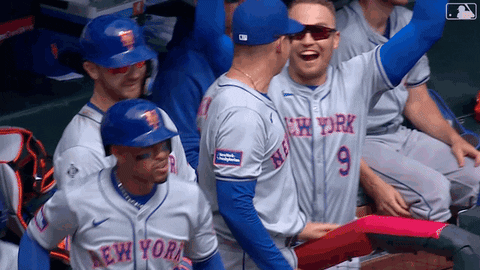 Happy Ny Mets GIF by New York Mets