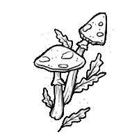 steph_fireflyatelier nature black and white minimal leaves Sticker