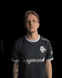 TheNorthIsHere gaming esports fifa csgo GIF