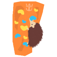 Ovation Of The Seas Ocean Sticker by Royal Caribbean