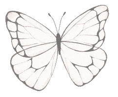 Life Coach Butterfly Sticker by Your Inner Babe