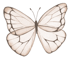 Butterfly Self Care Sticker by Your Inner Babe
