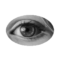 bohemiancat eyes eyesonyou Sticker